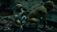 Far Cry 4 2025.03.31 - 05.19.22.01.mp4