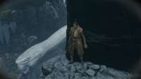 sekiro 2025-07-03 21-06-40-31.jpg