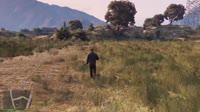 5.mp4