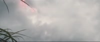 all.mp4