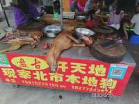 IMG8824.webp