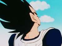 vegeta grass.gif