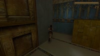 ll.mp4