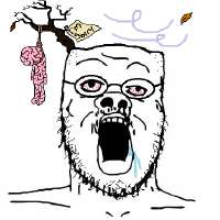 355.png