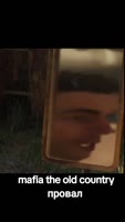 7537321179233799432.mp4