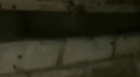 1754061255758-0.mp4