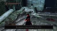 Dark Souls II Screenshot 2025.08.13 - 19.29.10.66.png
