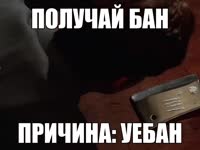 17543051562282.mp4