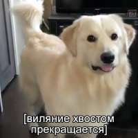 16883945734460.jpg