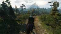 witcher320250816000944041.jpg