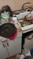 17520757493160.mp4