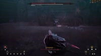 11.mp4