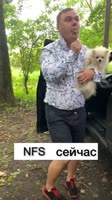 нфс.mp4