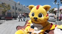 14636591829210.webm