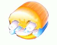 16334536973900.gif