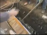 17249094836355.mp4