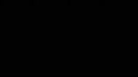 v.mp4