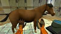 horsingaround.jpg