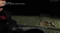 17541560549810.mp4