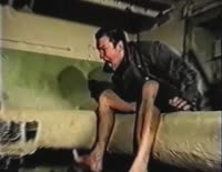 17558107981510.mp4