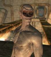 maxresdefault (1).jpg