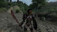 Elder Scrolls IV  Oblivion Screenshot 2025.08.25 - 07.38.56.33.png