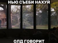 17559728984983.mp4
