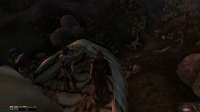 Morrowind 27.08.2025 222851.png