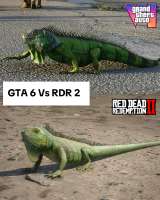 IMG9433.jpeg