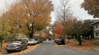 FallWalks-d6faa97b.jpeg