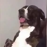 Пук.mp4