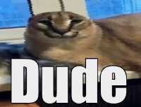 16338444230640.jpg