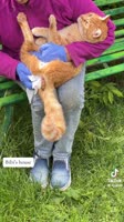 кот говно.mp4