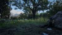 Red Dead Redemption 2 Screenshot 2025.09.06 - 23.42.35.36.png