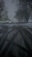 17572447905160.mp4