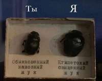 17409103297220.jpg