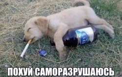 изображение2025-09-06233834828.png