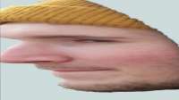 1336x752