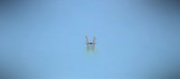  .webm