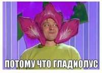 Без названия.jpg