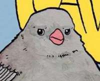 53535.PNG
