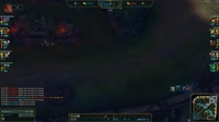 8-21EUW1-381619207802.webm