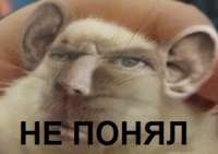 K0cFCnoIccQ.jpg