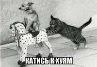 14334122834743[1].jpg