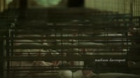 15317774425170.mp4
