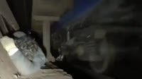 pomoikach.mp4