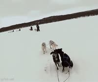 15434357004440.mp4
