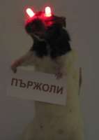 1357706337729.jpg