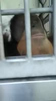 15298728155303.webm