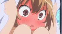 8.gif